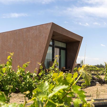 Andeluna Winery Lodge Tupungato Exterior photo